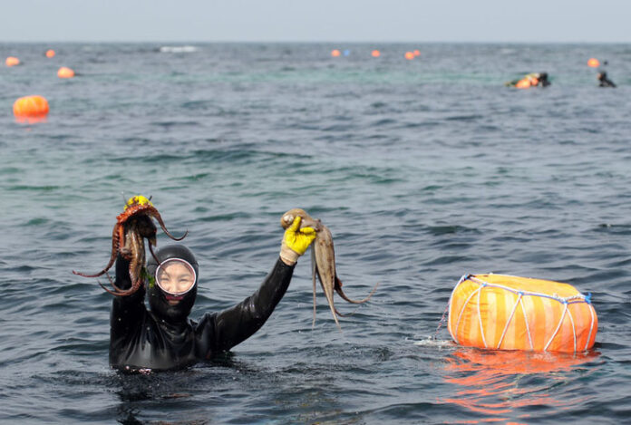Haenyeo, puohčâleijeenissoon